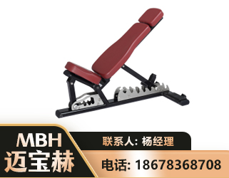 四平可调哑铃椅