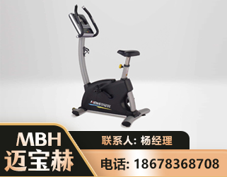 四平立式健身车